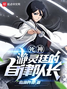 (死神同人)死神:瀞灵廷的自律队长